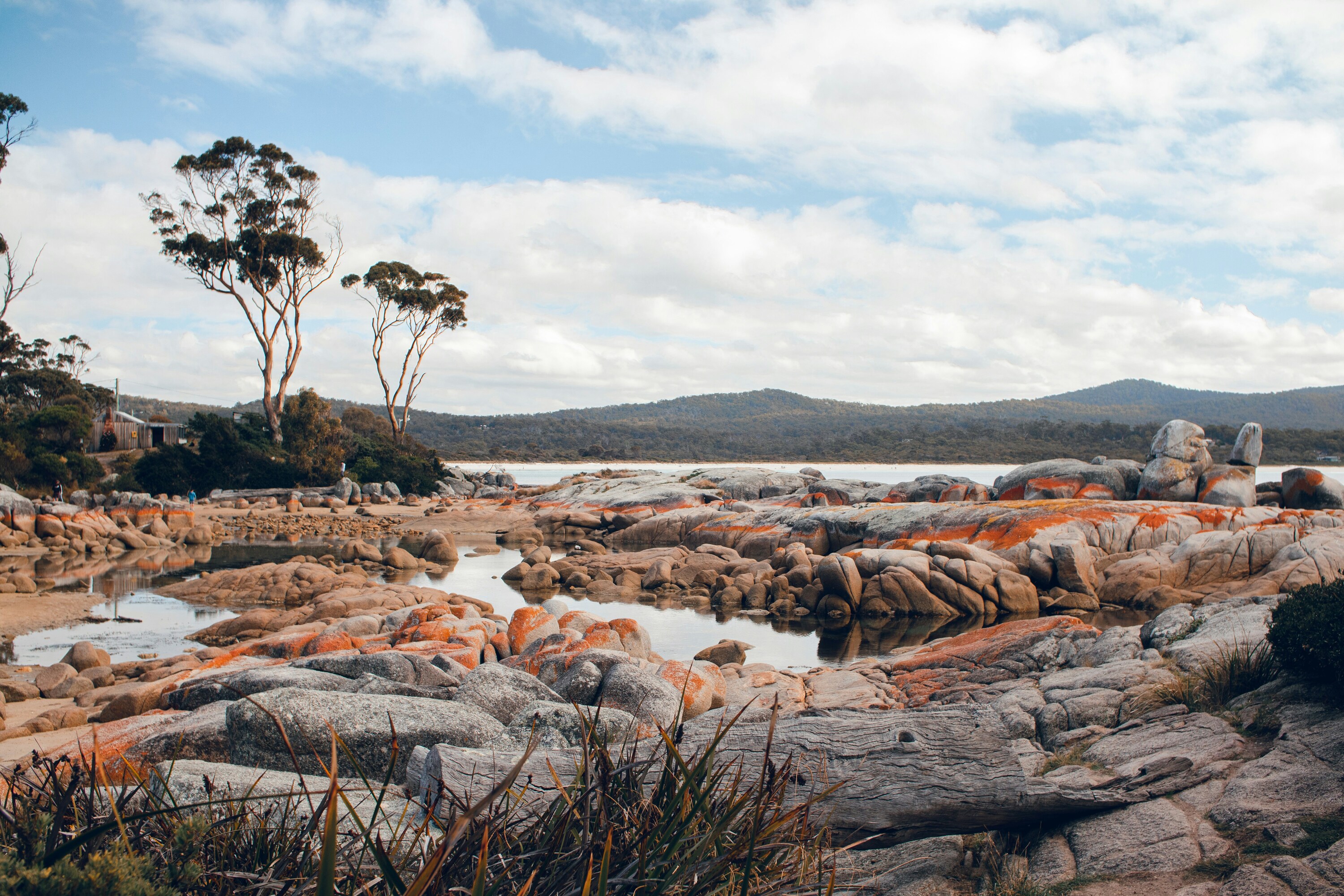 Tasmanian Wilderness